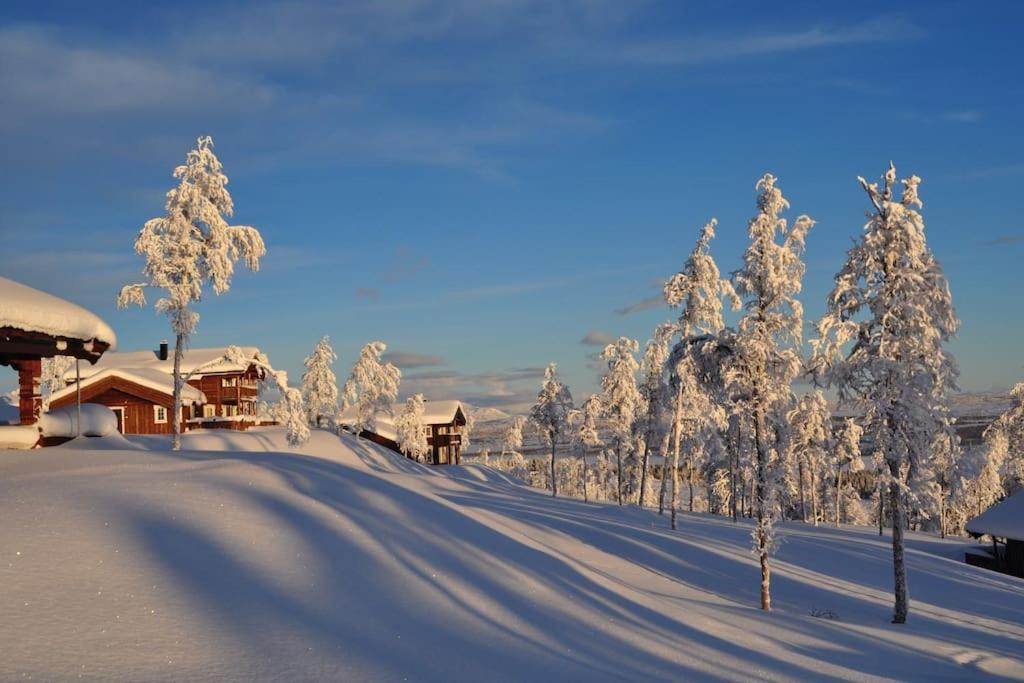 Flott Fritidsleilighet I Bualie Pa Golsfjellet ภายนอก รูปภาพ