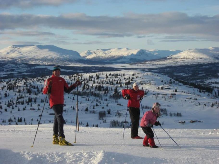 Flott Fritidsleilighet I Bualie Pa Golsfjellet ภายนอก รูปภาพ